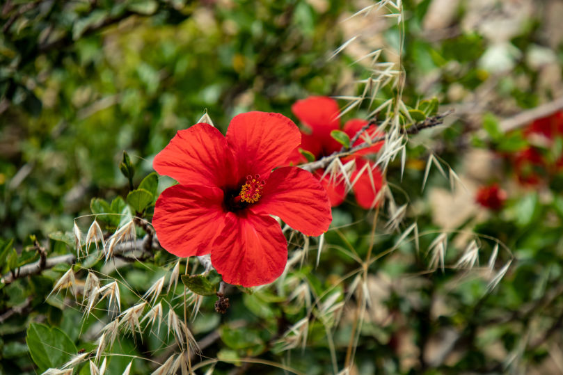 Naturfotografie