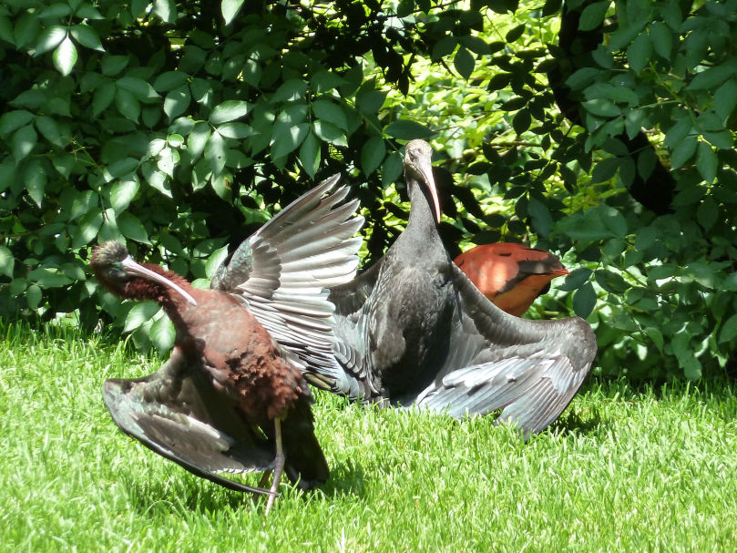 Naturfotografie