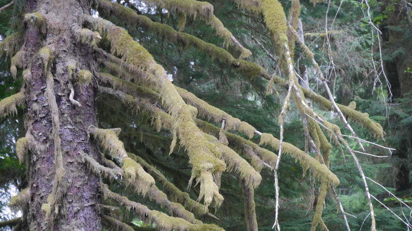 Naturfotografie