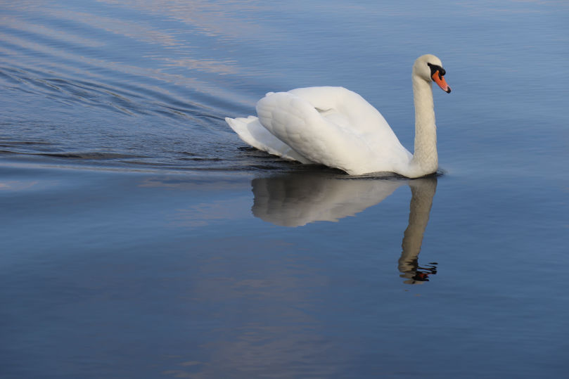 Naturfotografie